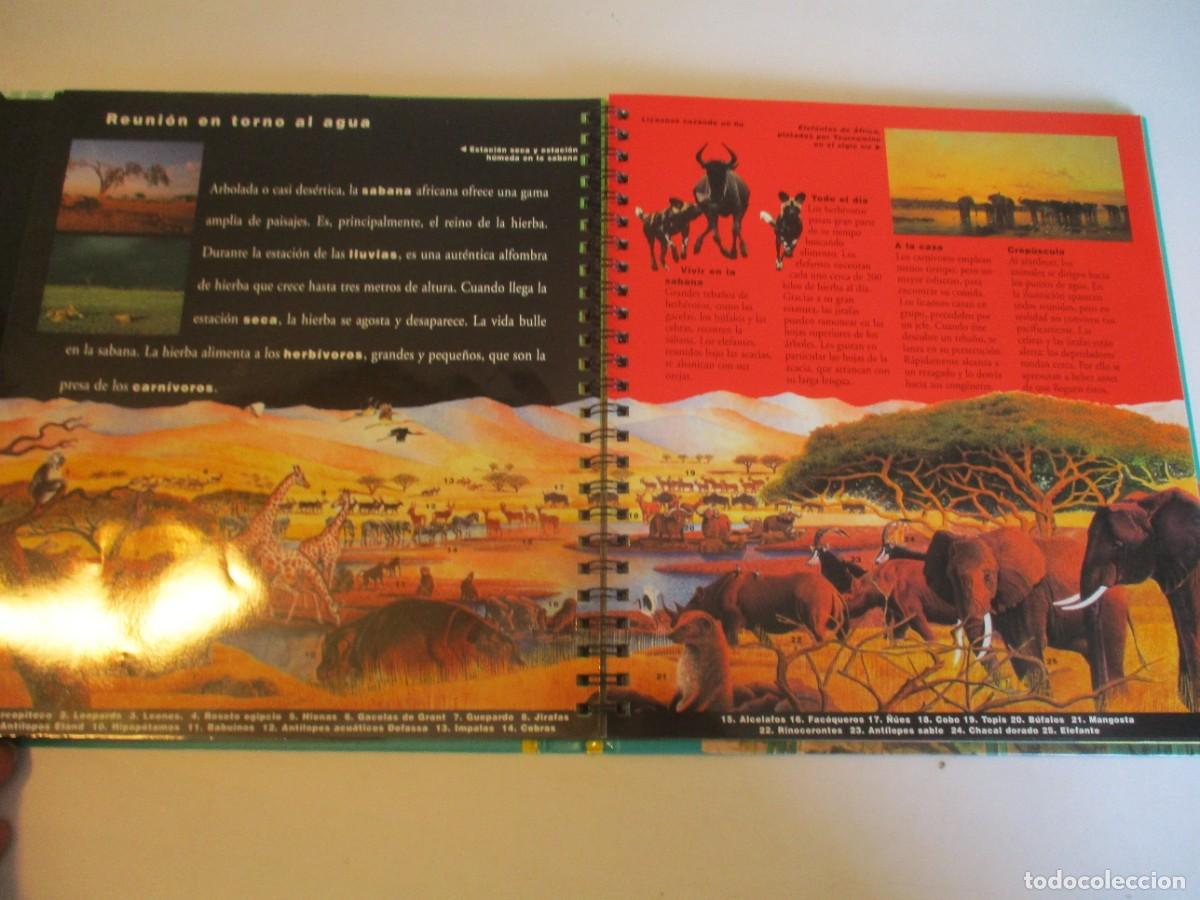 Libros de segunda mano: TRAS LA PISTA DE LOS MAM&Iacute;FEROS W23200 - Foto 5