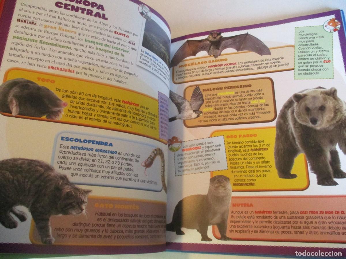 Libros de segunda mano: GER&Oacute;NIMO STILTON Mi primer atlas de animales W23201 - Foto 3