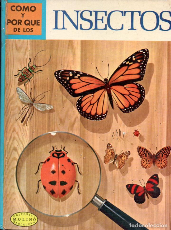 Libros de segunda mano: MOLINO : C&Oacute;MO Y POR QU&Eacute; DE LOS INSECTOS (1973) - Foto 1