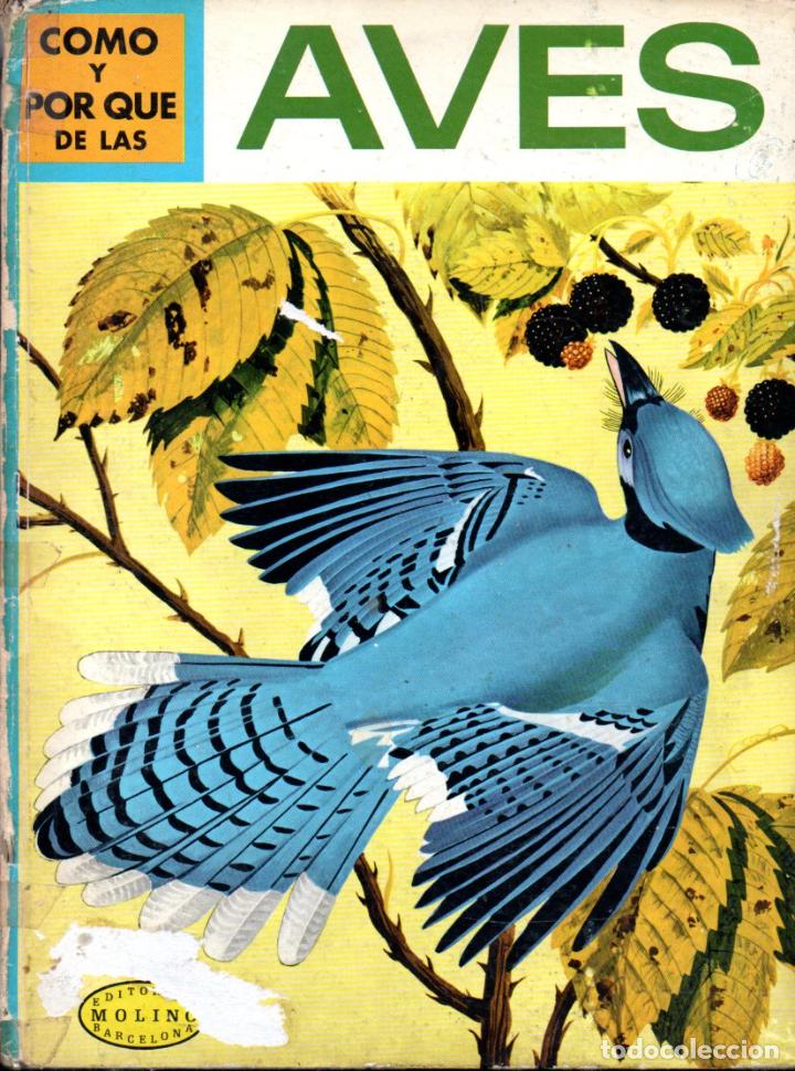 Libros de segunda mano: MOLINO : C&Oacute;MO Y POR QU&Eacute; DE LAS AVES (1970) - Foto 1