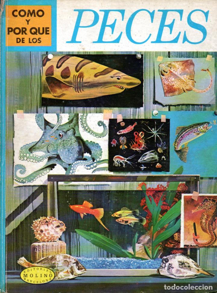 Libros de segunda mano: MOLINO : C&Oacute;MO Y POR QU&Eacute; DE LOS PECES (1970) - Foto 1