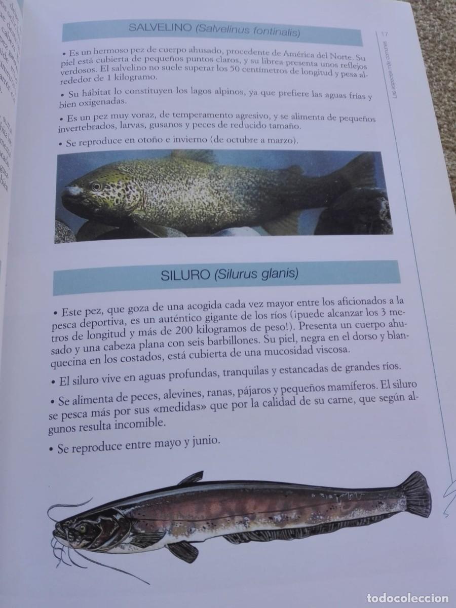 Libros de segunda mano: LIBRO DE PESCA - EL CALENDARIO DEL PESCADOR - Foto 4