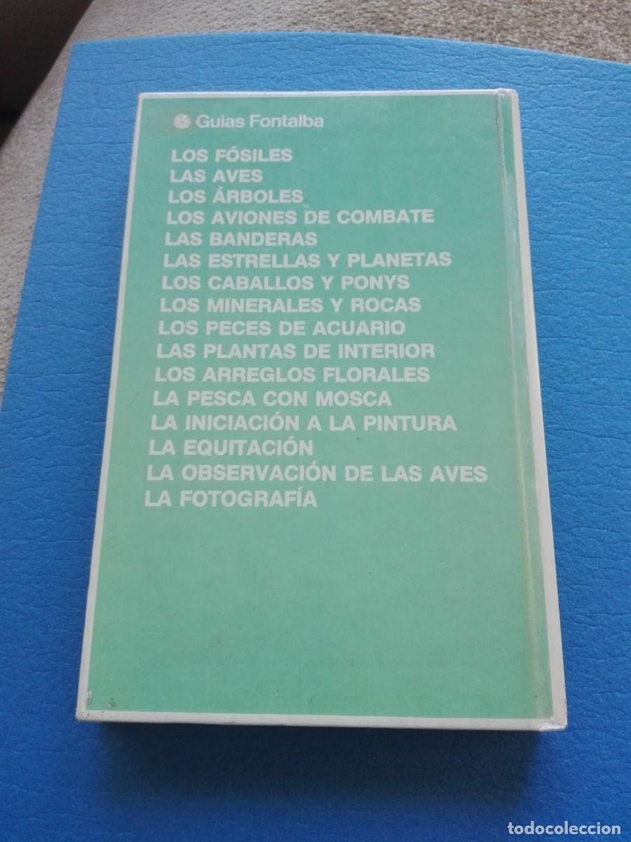 Libros de segunda mano: LIBRO DE PESCA - LA PESCA CON MOSCA - Foto 2