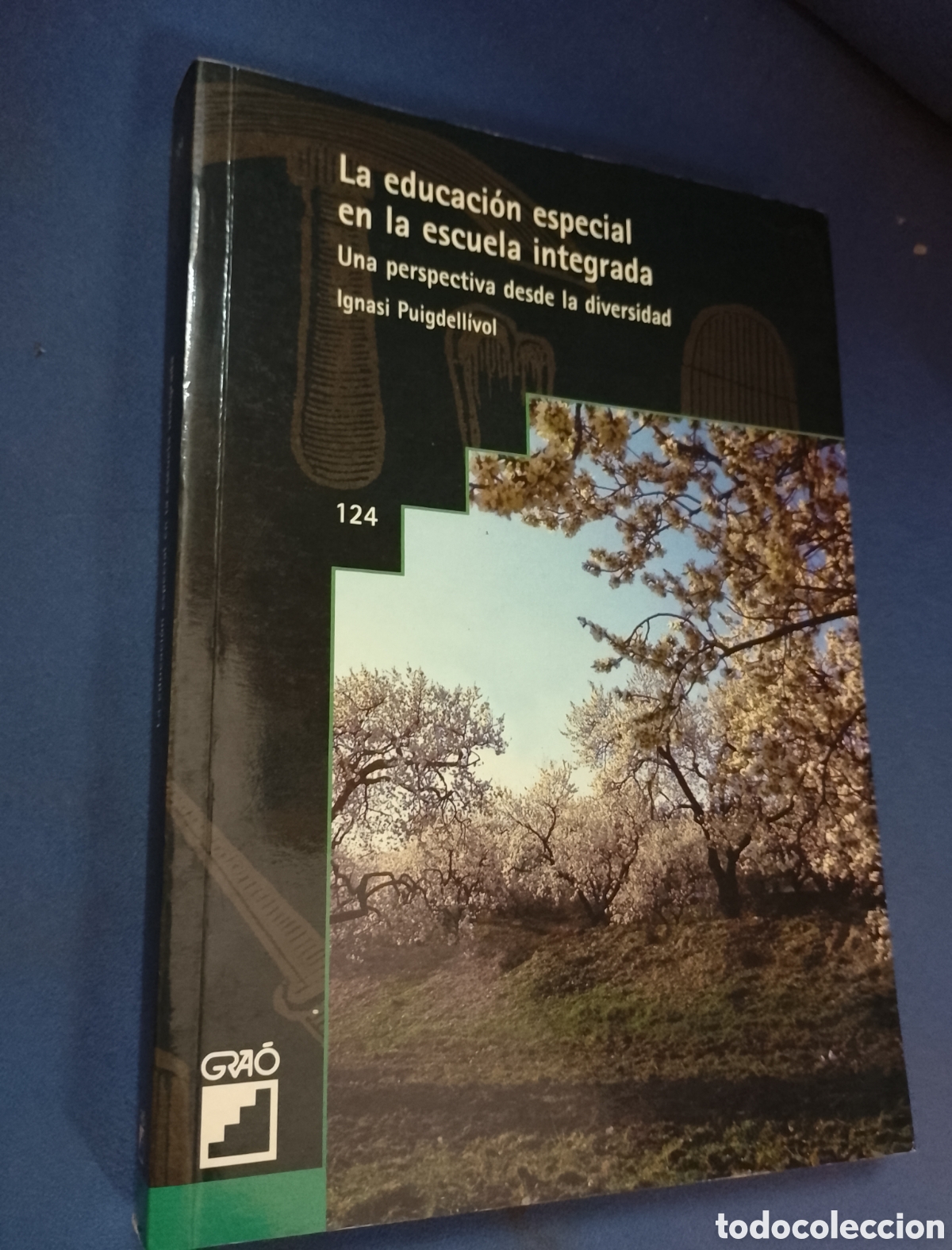 Gebrauchte B&uuml;cher: LA EDUCACI&Oacute;N ESPECIAL EN LA ESCUELA INTEGRADA. Una perspectiva desde la diversidad IGNASI PUIGDELL&Iacute;V