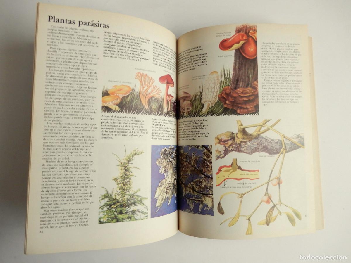 Libros de segunda mano: EL MUNDO DE LA CIENCIA - NAUTA - 1981 - Foto 6