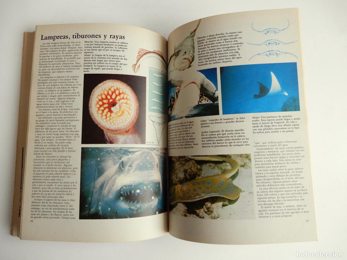 Libros de segunda mano: EL MUNDO DE LA CIENCIA - NAUTA - 1981 - Foto 7