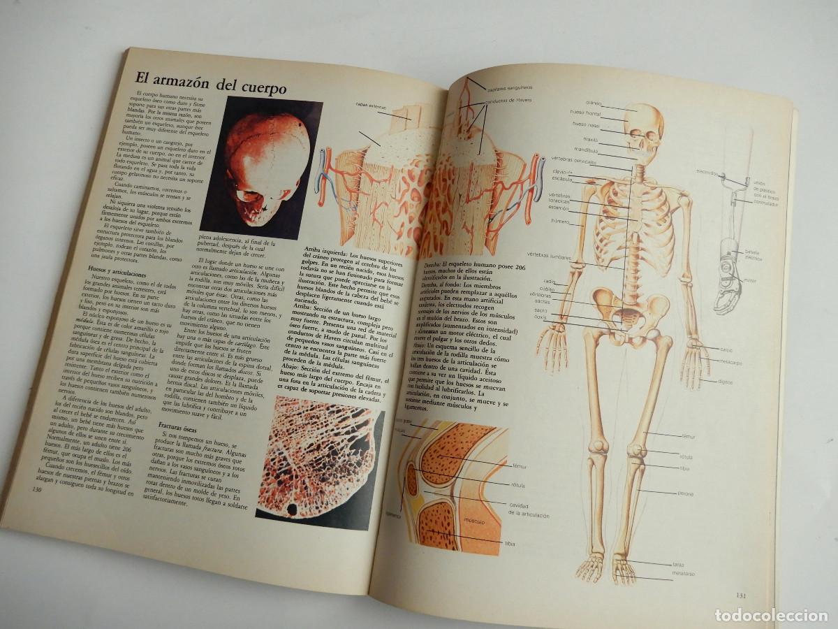 Libros de segunda mano: EL MUNDO DE LA CIENCIA - NAUTA - 1981 - Foto 8