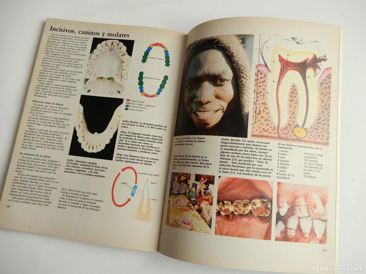 Libros de segunda mano: EL MUNDO DE LA CIENCIA - NAUTA - 1981 - Foto 9