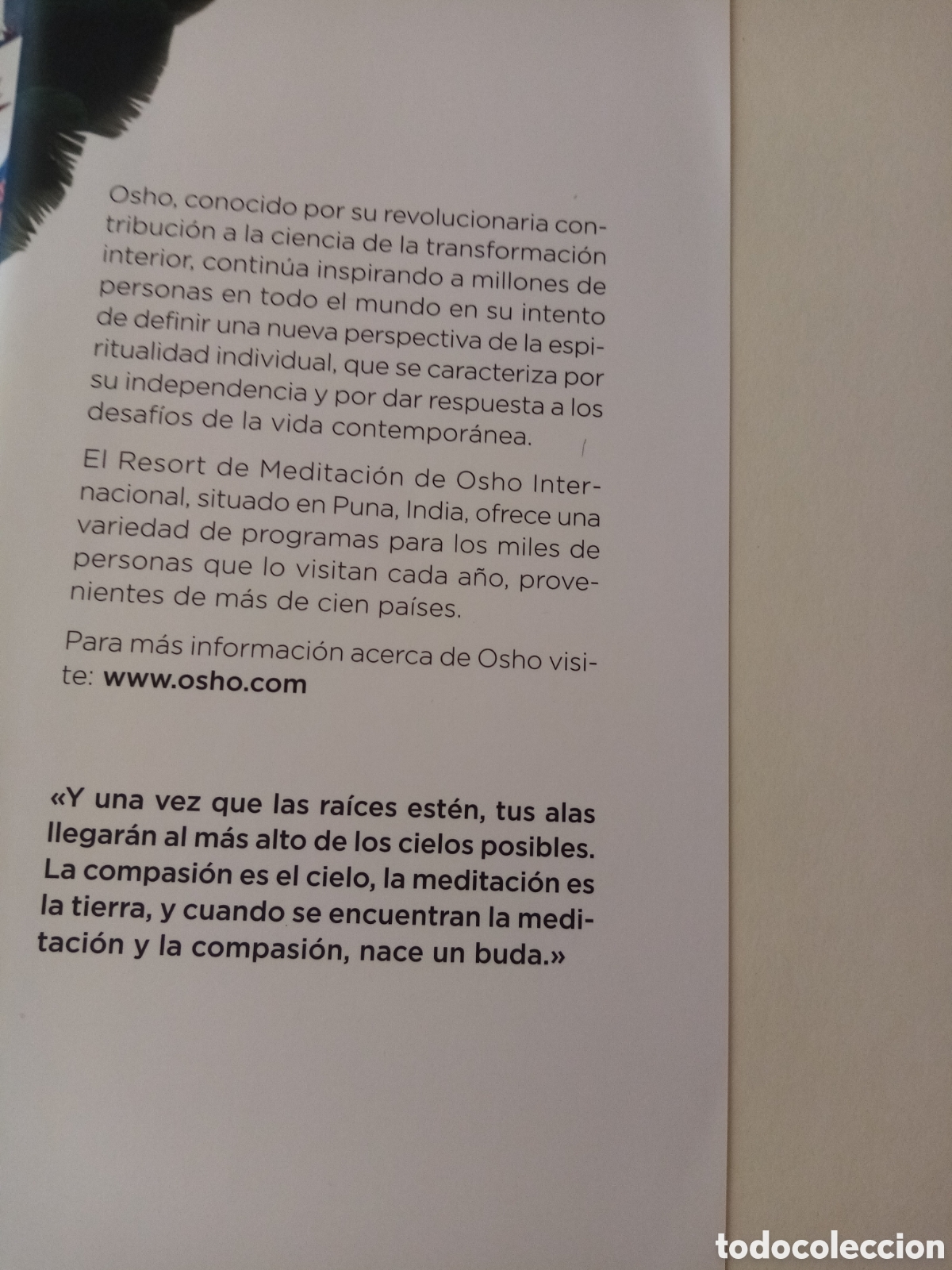 Libros de segunda mano: Osho. Un p&aacute;jaro al viento. La sabidur&iacute;a zen - Foto 4