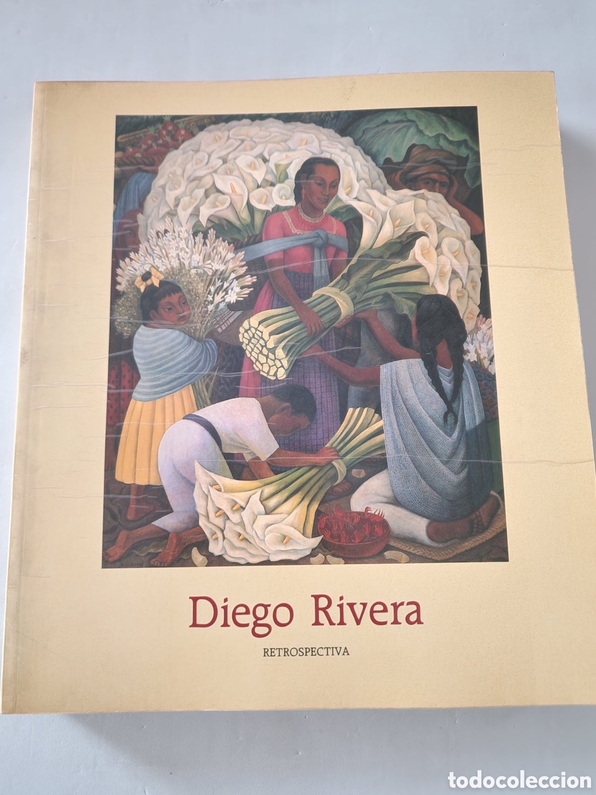 Libros de segunda mano: Diego Rivera - Foto 1