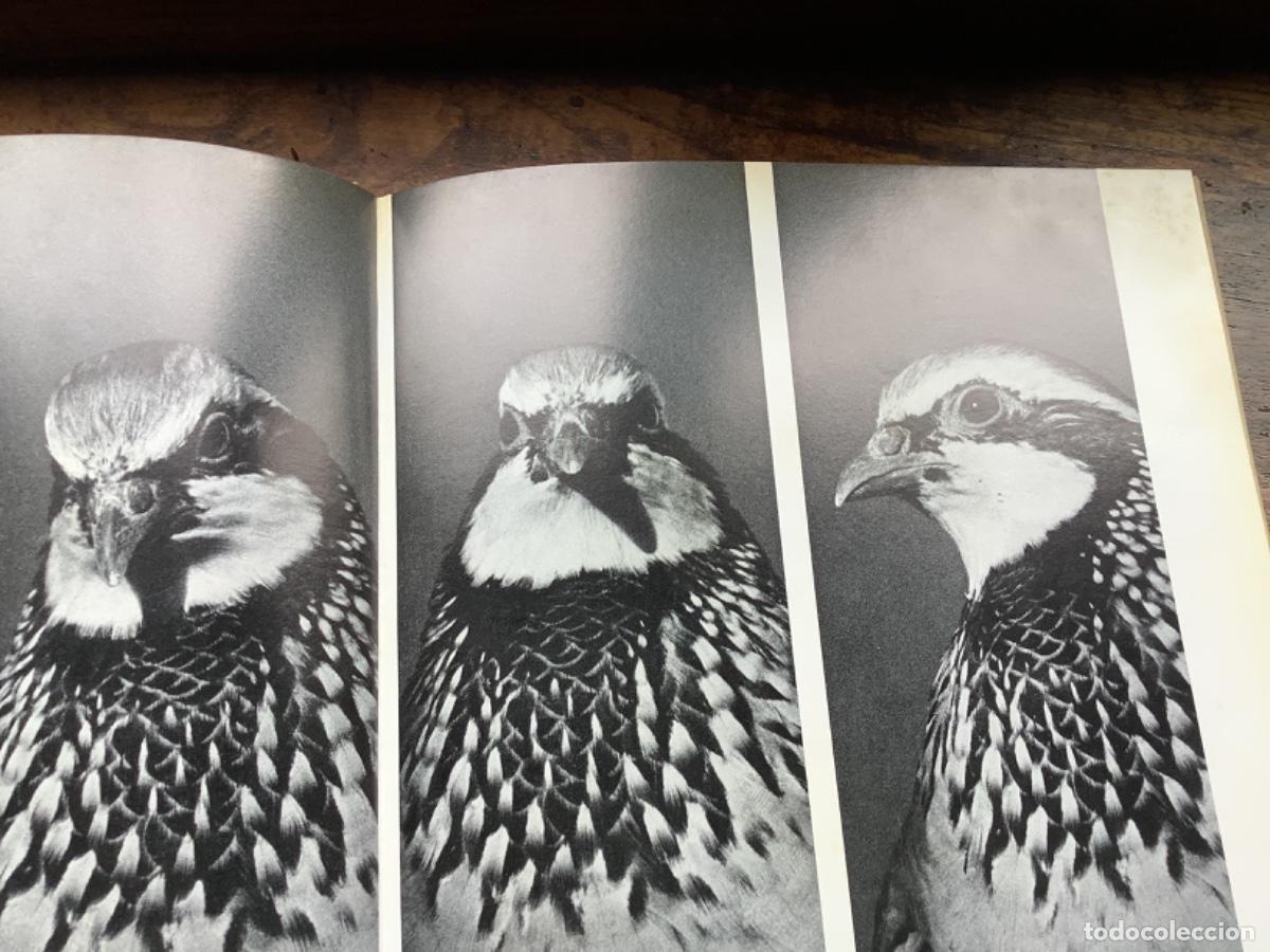Libros de segunda mano: La caza de la perdiz roja - Foto 3
