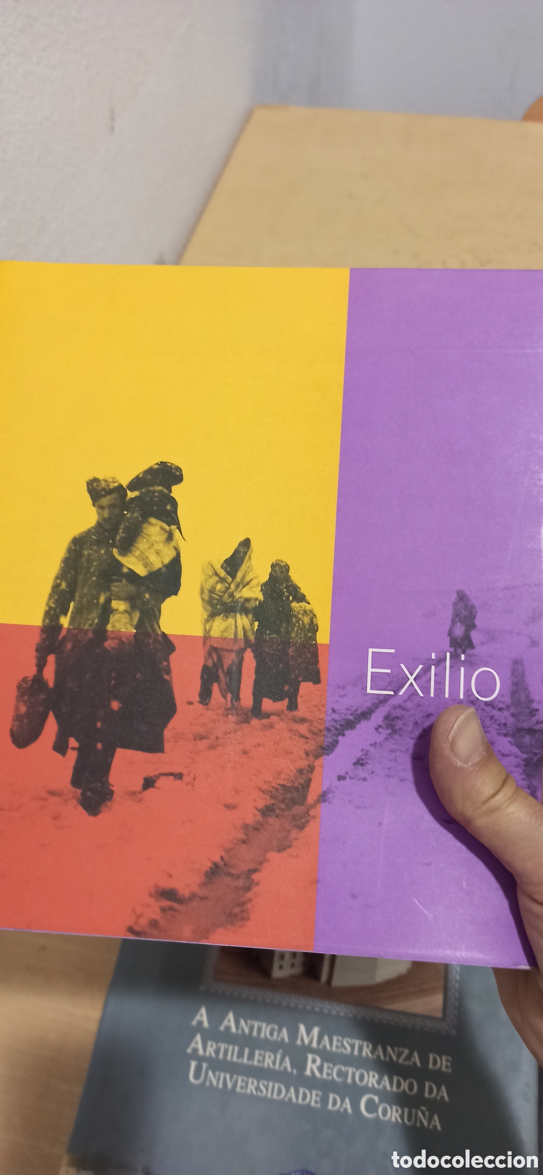 Libros de segunda mano: Exilio (Procedente de Expurgo de Biblioteca) - Foto 1