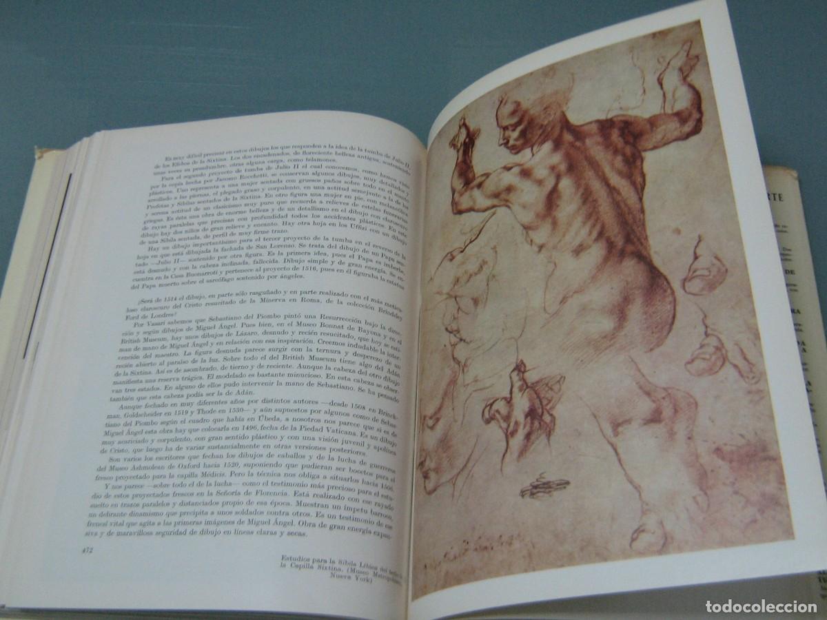 Libros de segunda mano: MIGUEL ANGEL - Camon Aznar - Foto 16