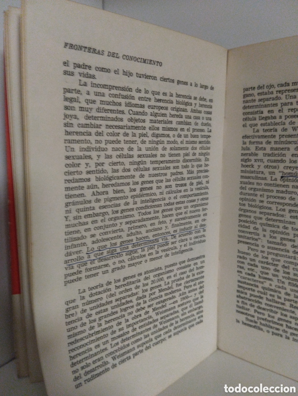 Libros de segunda mano: Fronteras Del Conocimiento - Lynn White Jr - Foto 4