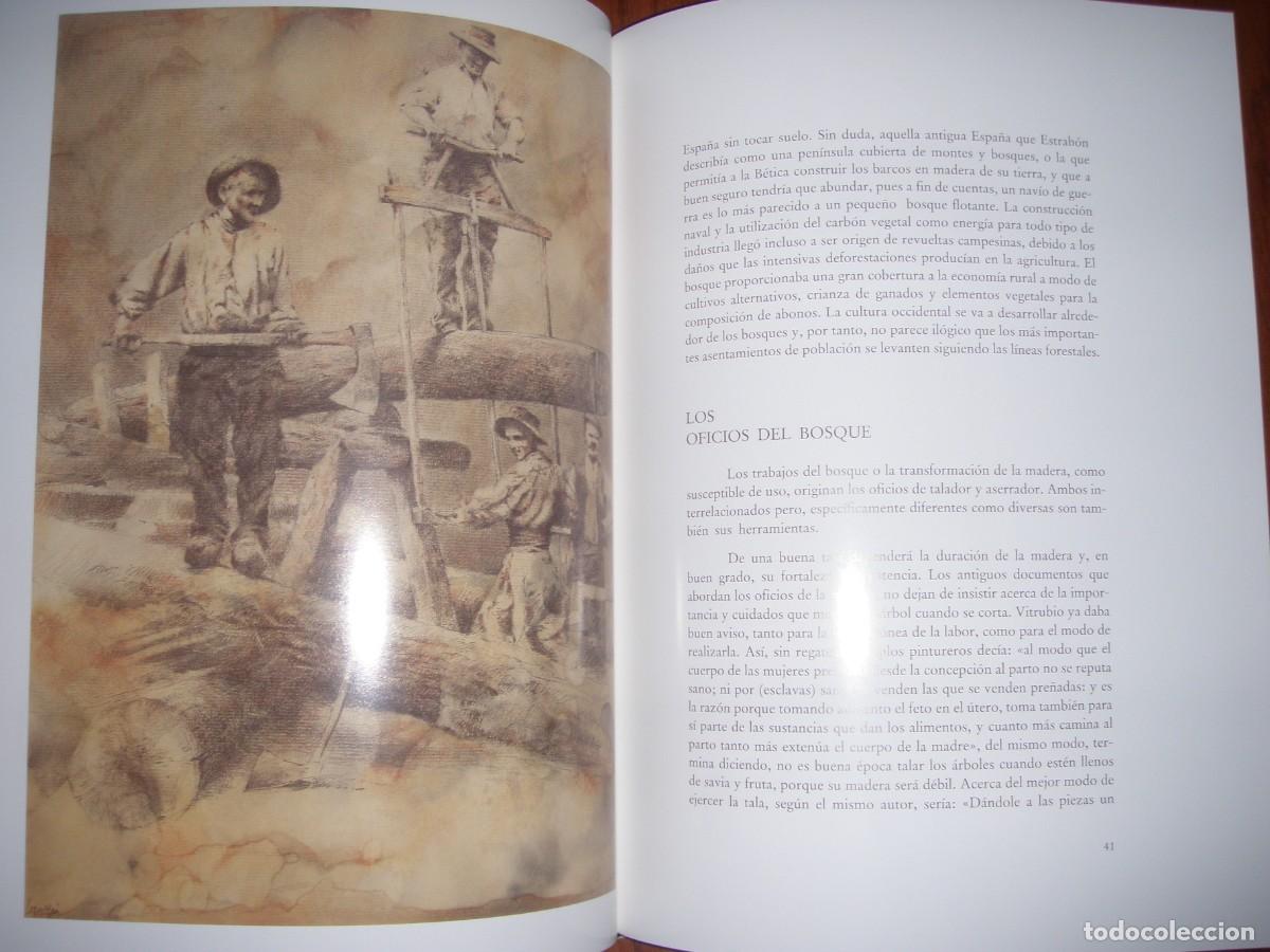 Libros de segunda mano: INGENIOS DE MADERA JOSE M LEGAZPI - Foto 9