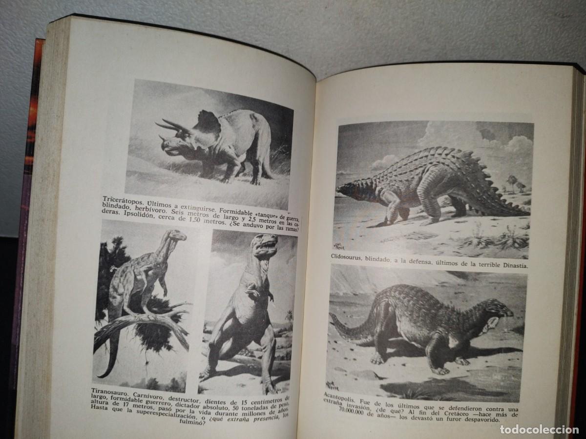 Libros de segunda mano: 79- EL OCASO DE LOS DINOSAURIOS - ALEJANDRO VIGNATI - PRIMERA EDICI&Oacute;N 1977 - Foto 8