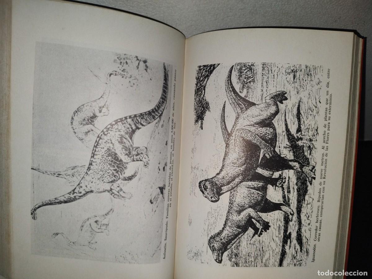 Libros de segunda mano: 79- EL OCASO DE LOS DINOSAURIOS - ALEJANDRO VIGNATI - PRIMERA EDICI&Oacute;N 1977 - Foto 9