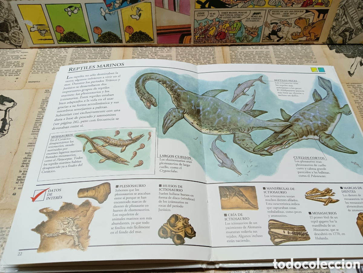 Libros de segunda mano: Secretos de la prehistoria. - Foto 4