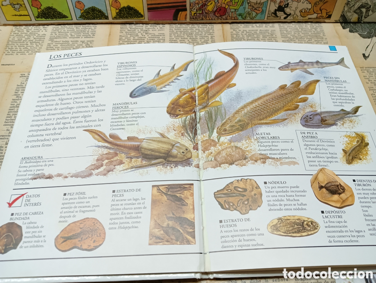 Libros de segunda mano: Secretos de la prehistoria. - Foto 5