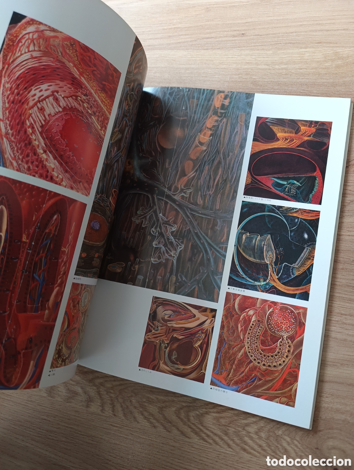 Libros de segunda mano: Illustration. Noriyoshi Ohrai. 1980 - Foto 3