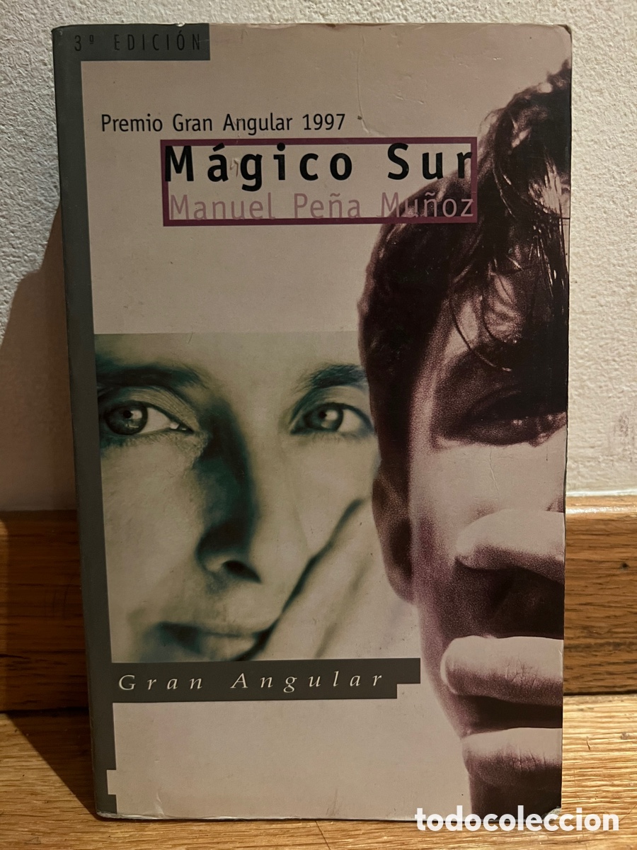 Libros de segunda mano: M&aacute;gico sur Manuel Pe&ntilde;a Mu&ntilde;oz - Foto 1