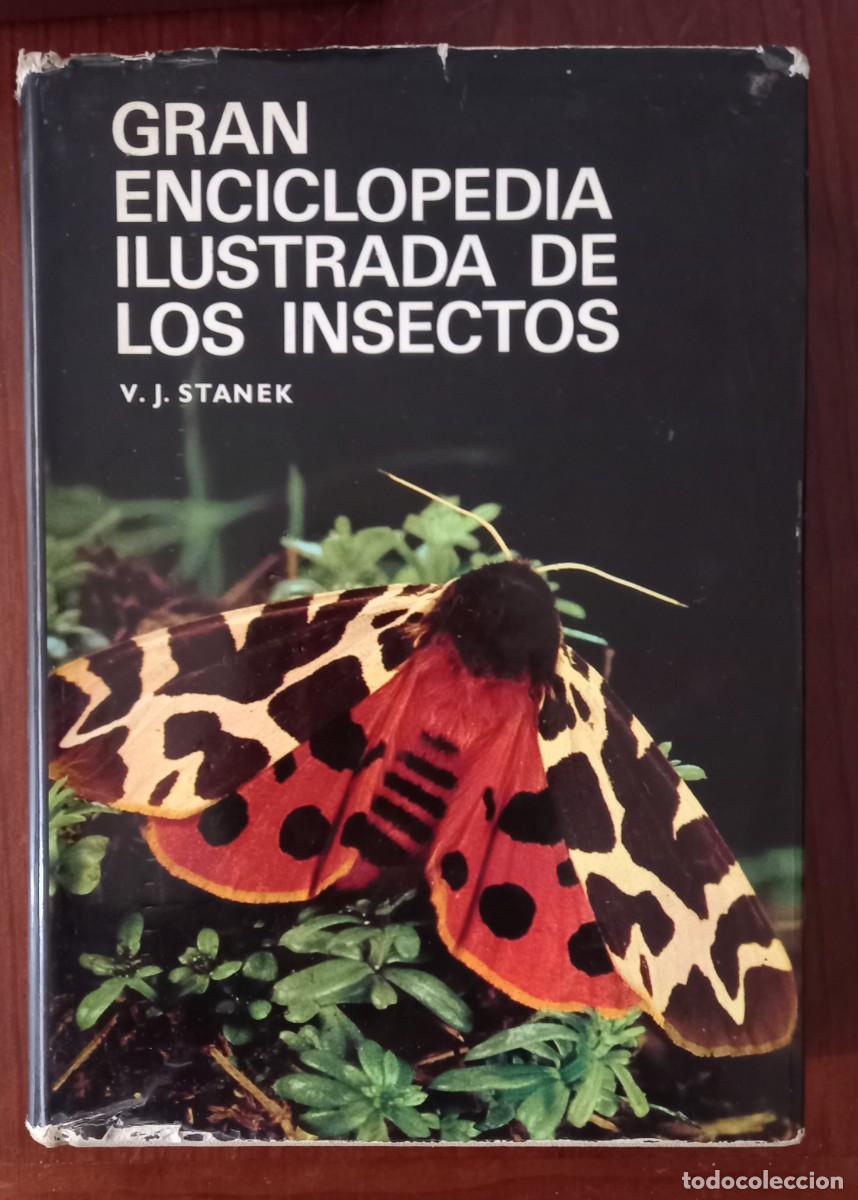 Libros de segunda mano: Gran enciclopedia ilustrada de los insectos - Foto 1