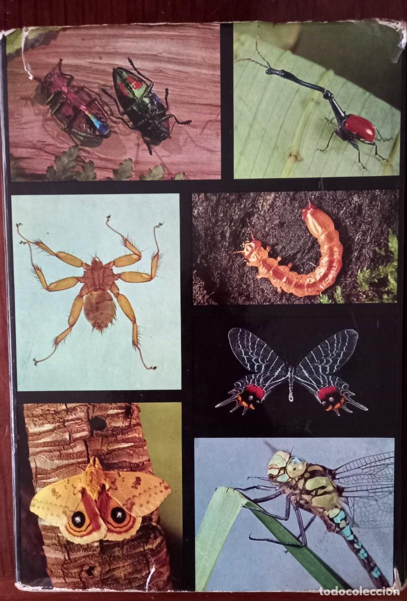 Libros de segunda mano: Gran enciclopedia ilustrada de los insectos - Foto 2