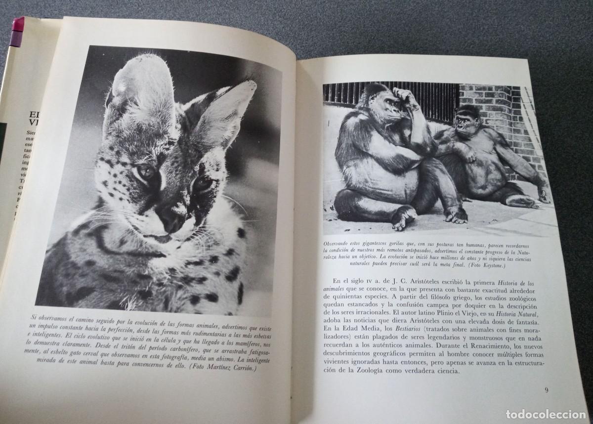 Libros de segunda mano: El Mundo Viviente Antonio Jonch - Foto 7