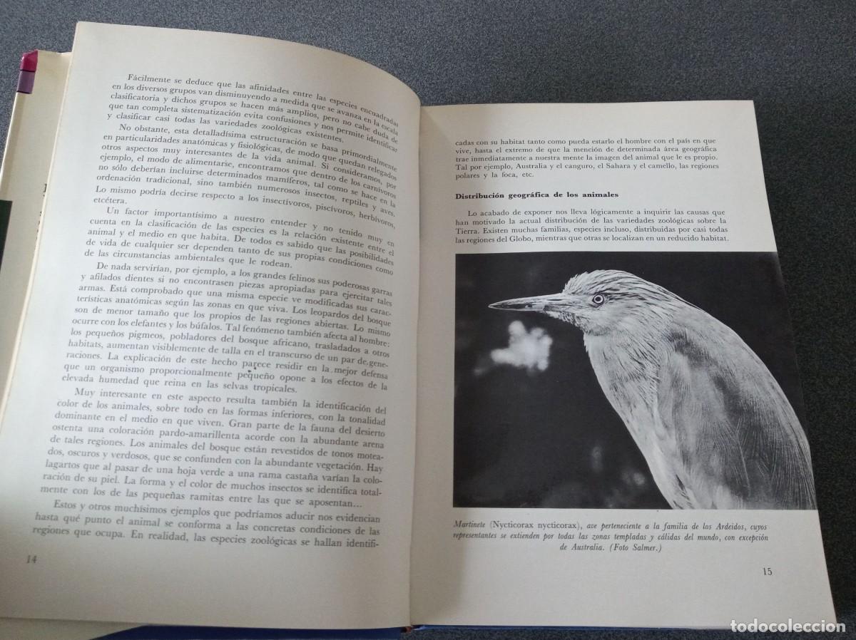 Libros de segunda mano: El Mundo Viviente Antonio Jonch - Foto 8