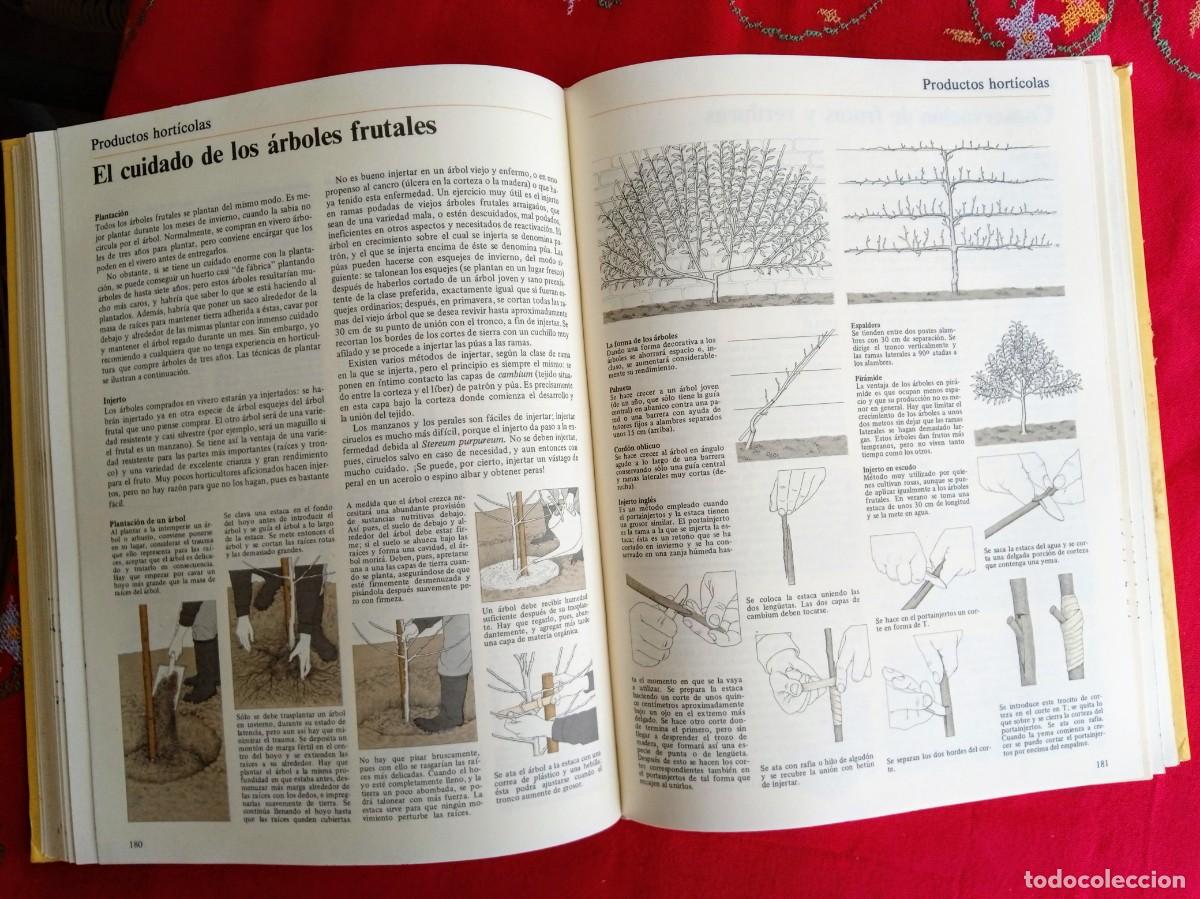 Libros de segunda mano: Libro La vida en el campo y el horticultor.. de Seymour - Foto 6