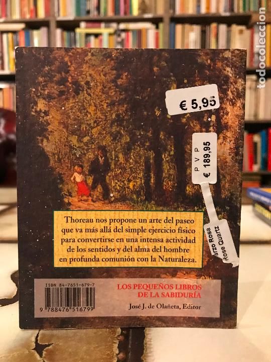 Libros de segunda mano: Pasear. Henry David Thoreau. - Foto 2