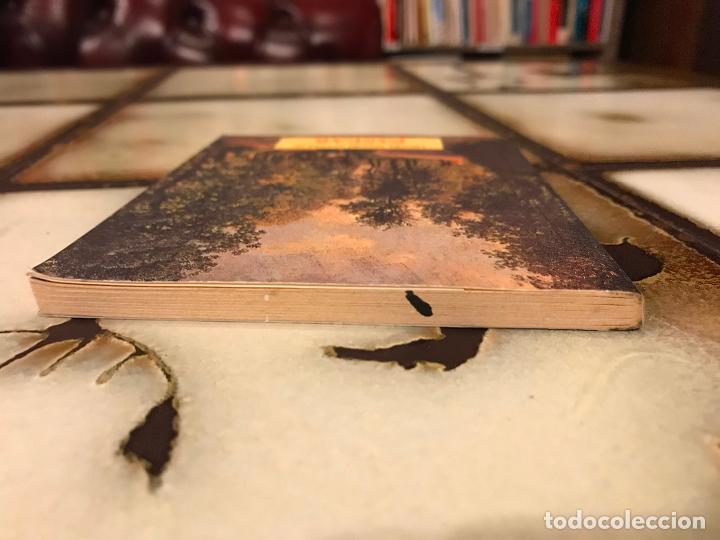 Libros de segunda mano: Pasear. Henry David Thoreau. - Foto 3