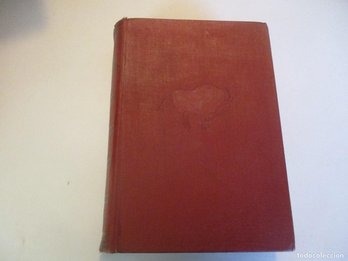 Libros de segunda mano: HENDRIK WILLEM VAN LOON Las artes W23563 - Foto 2