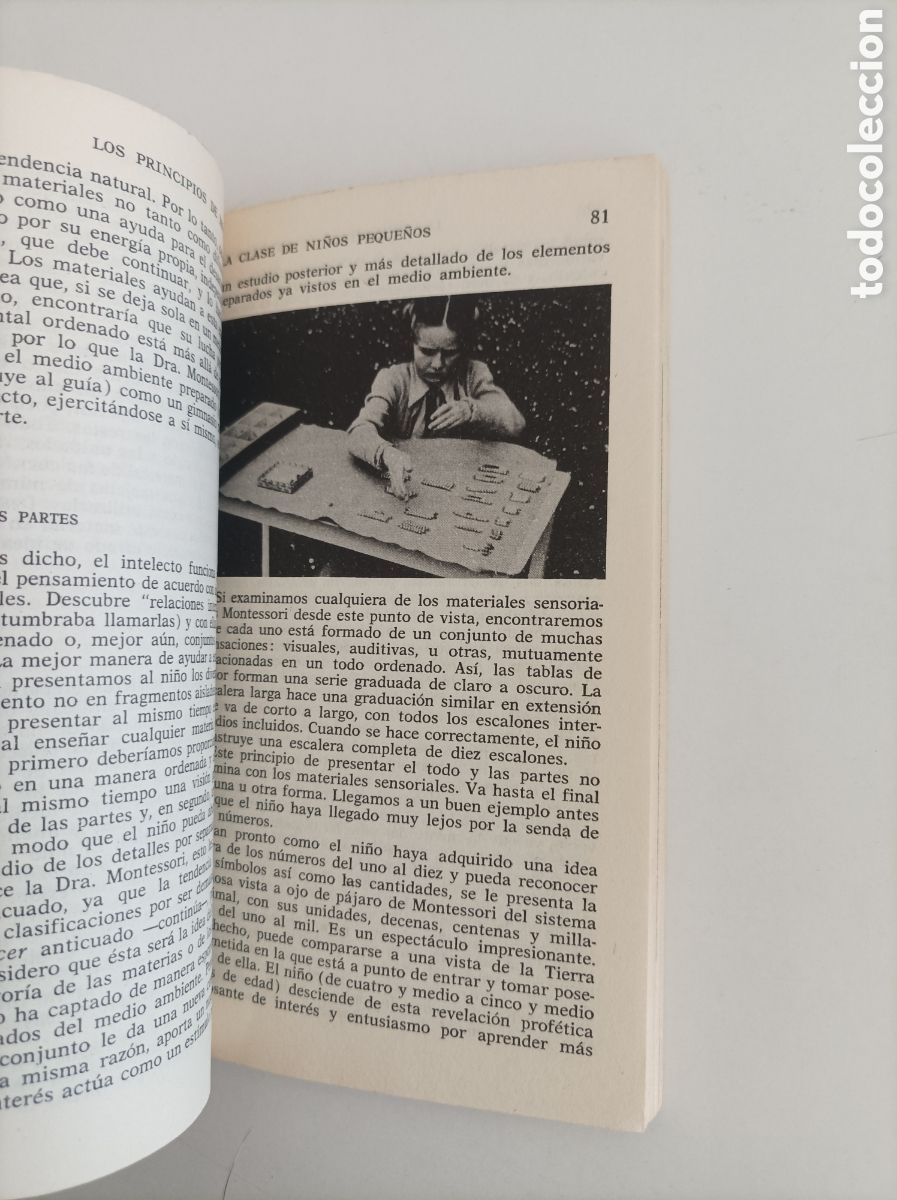 Libros de segunda mano: La revoluci&oacute;n Montessori en la educaci&oacute;n / E. M. Standing - Foto 7