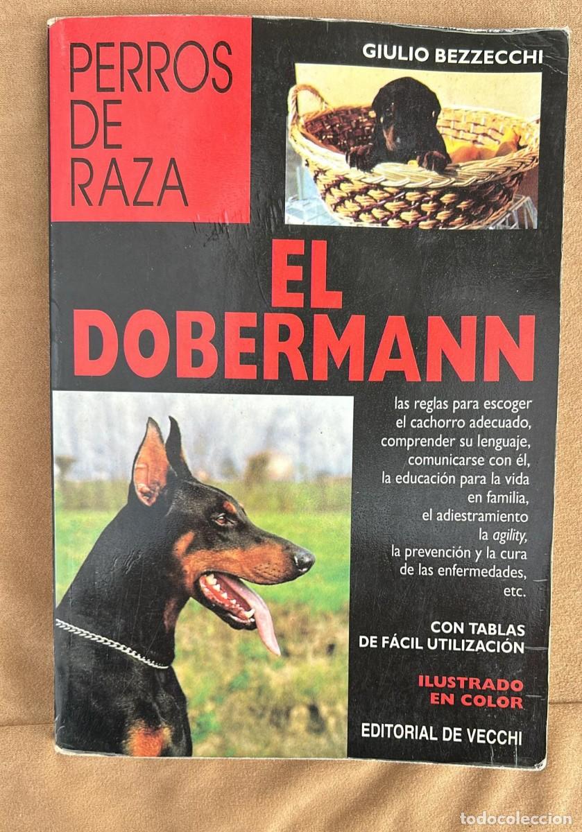Libros de segunda mano: EL DOBERMAN PERROS DE RAZA GIULIO BEZZECCHI EDITORIAL DE VECCHI - Foto 1