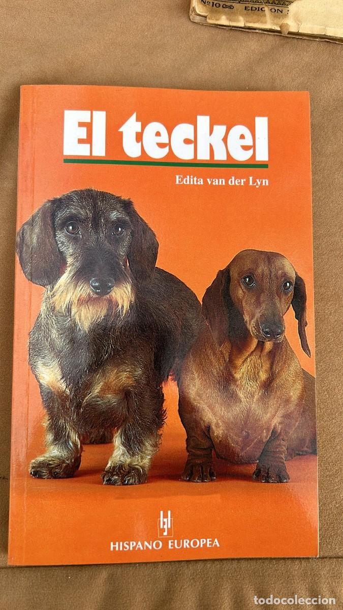 Libros de segunda mano: EL TECKEL EDITA VAN DER LYN HISPANO EUROPEA - Foto 1