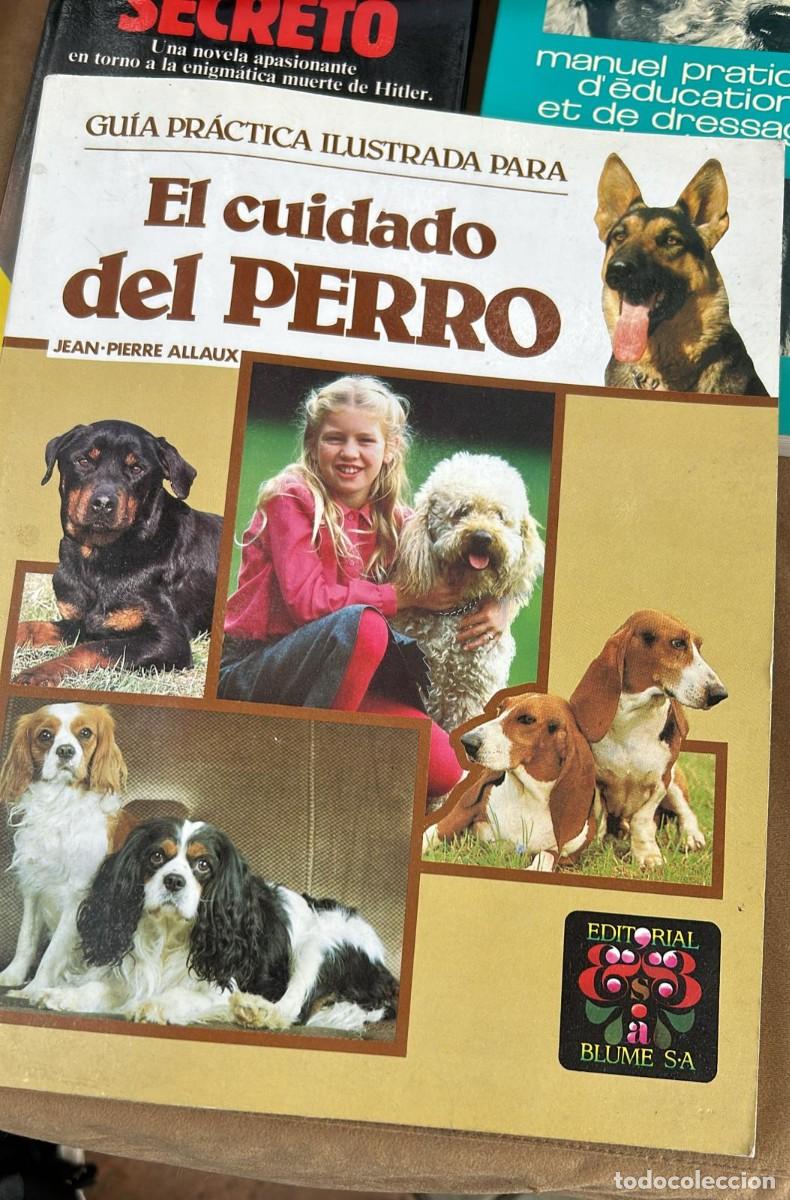 Libros de segunda mano: GUIA PRACTICA ILUSTRADA PARA EL CUIDADO DEL PERRO EDITORIAL BLUME - Foto 1