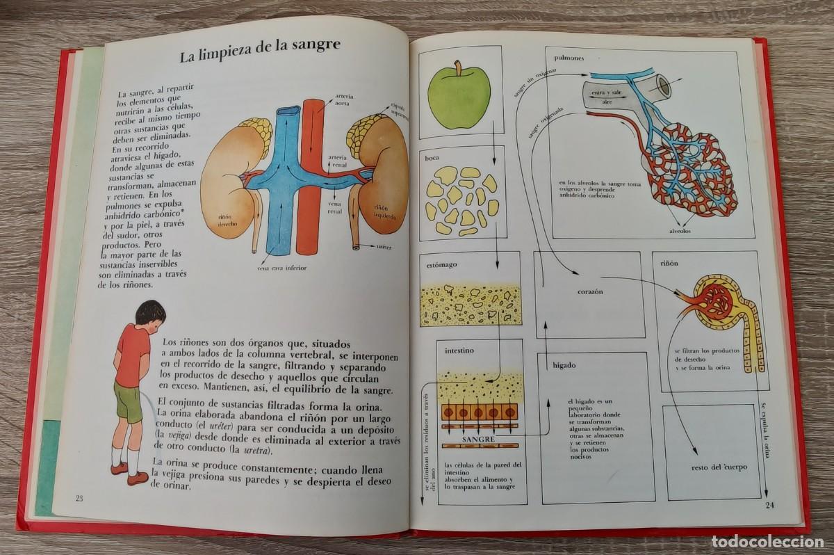 Libros de segunda mano: Libro Tu Cuerpo - Foto 7
