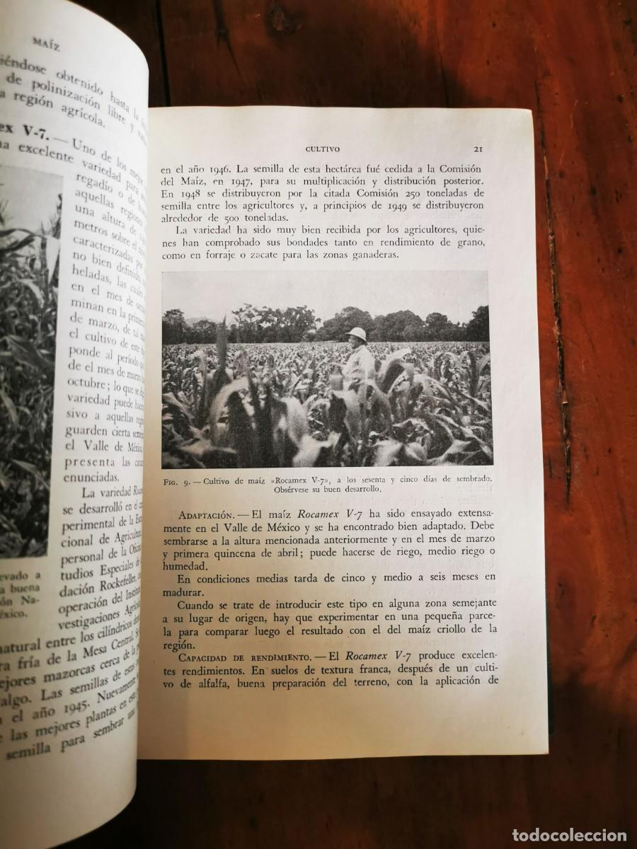 Libros de segunda mano: D&Iacute;AZ DEL PINO, Alfonso. Cereales de primavera - Foto 4