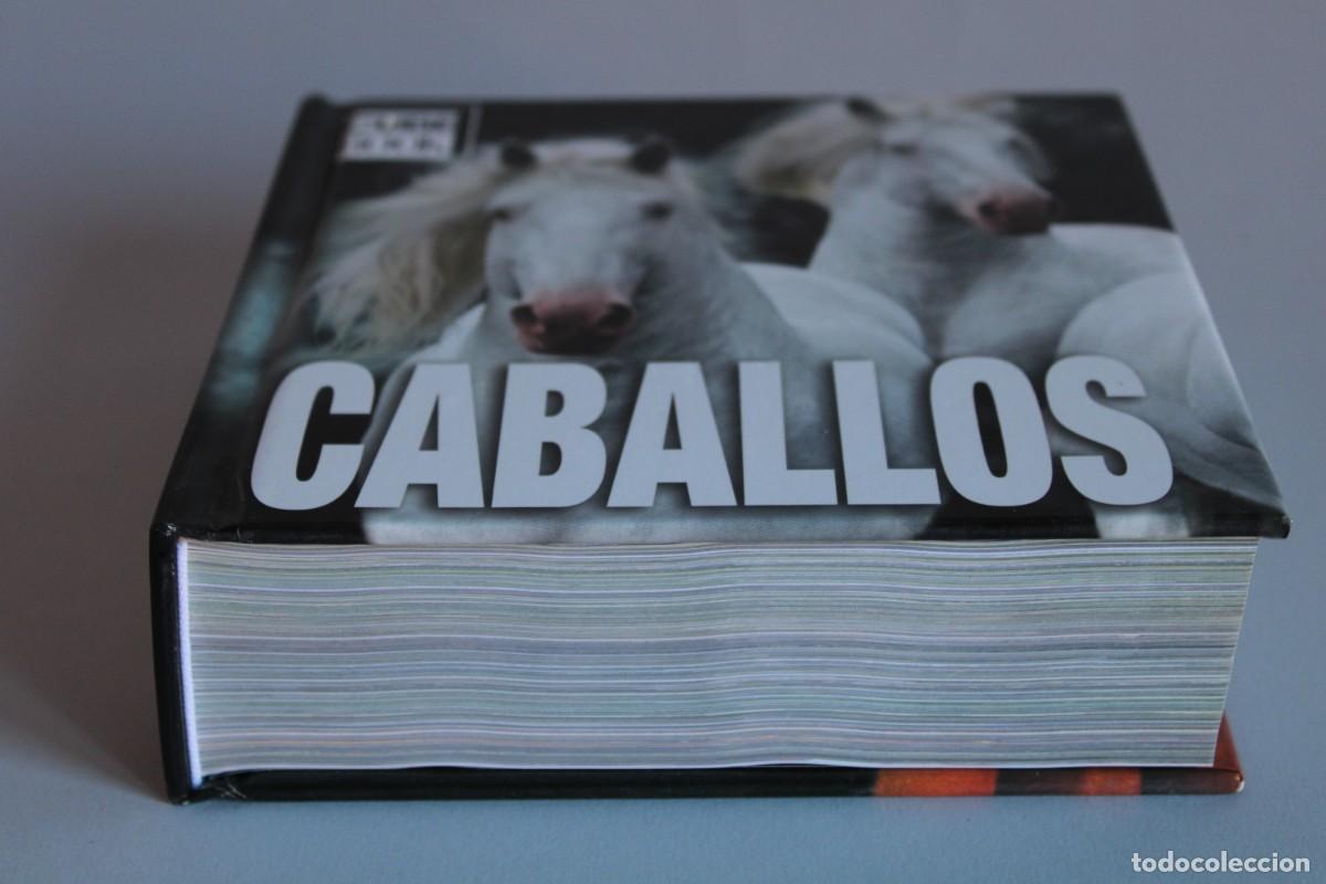 Libros de segunda mano: CABALLOS / CUBE BOOK - Foto 2