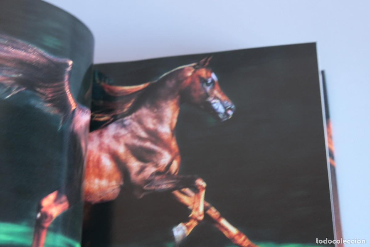 Libros de segunda mano: CABALLOS / CUBE BOOK - Foto 5