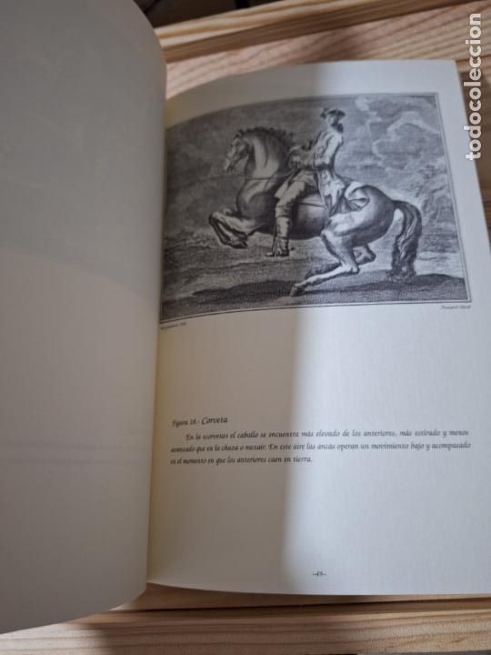 Libros de segunda mano: Doma y equitaci&oacute;n - Foto 3