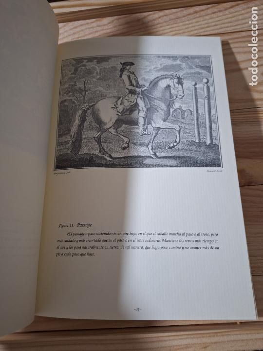 Libros de segunda mano: Doma y equitaci&oacute;n - Foto 4