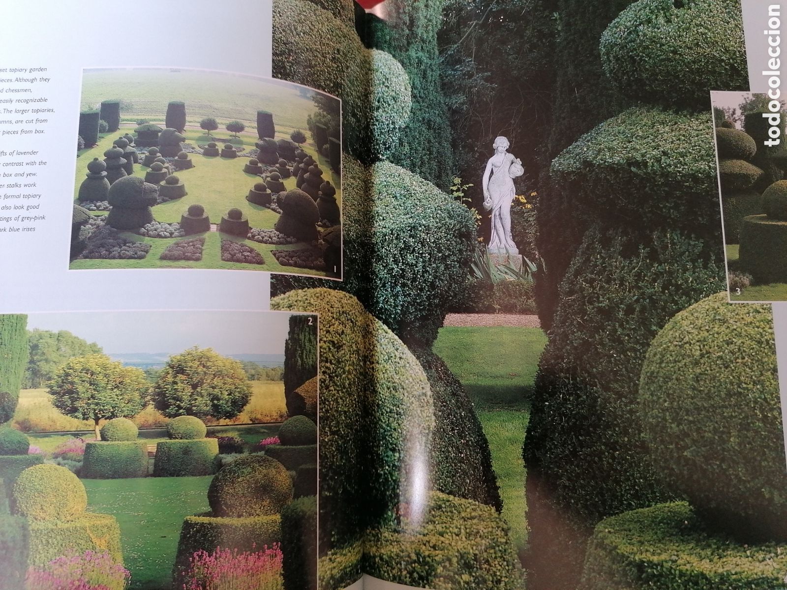 Libros de segunda mano: Classic garden - Foto 3