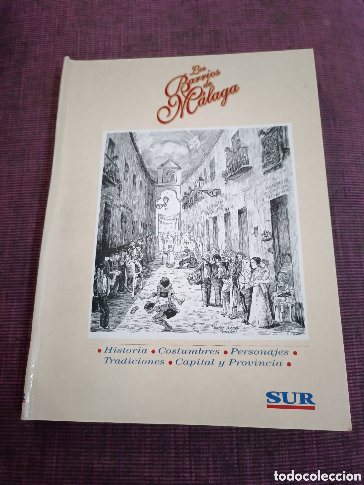 Libros de segunda mano: Los barrios de M&aacute;laga. Sur - Foto 1