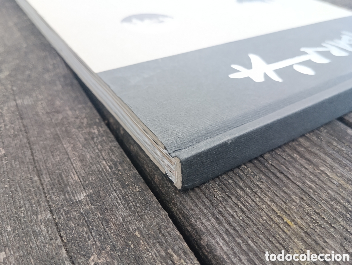 Libros de segunda mano: IBARROLA. EL BOSQUE DE LOS TOTEMS. - Foto 11