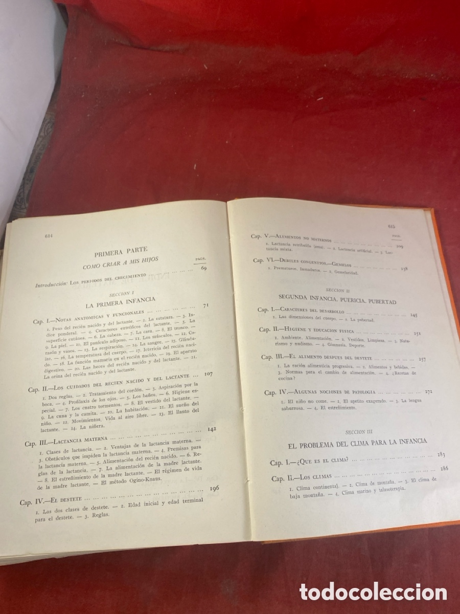 Libros de segunda mano: EL LIBRO DE LA MADRE - Foto 4