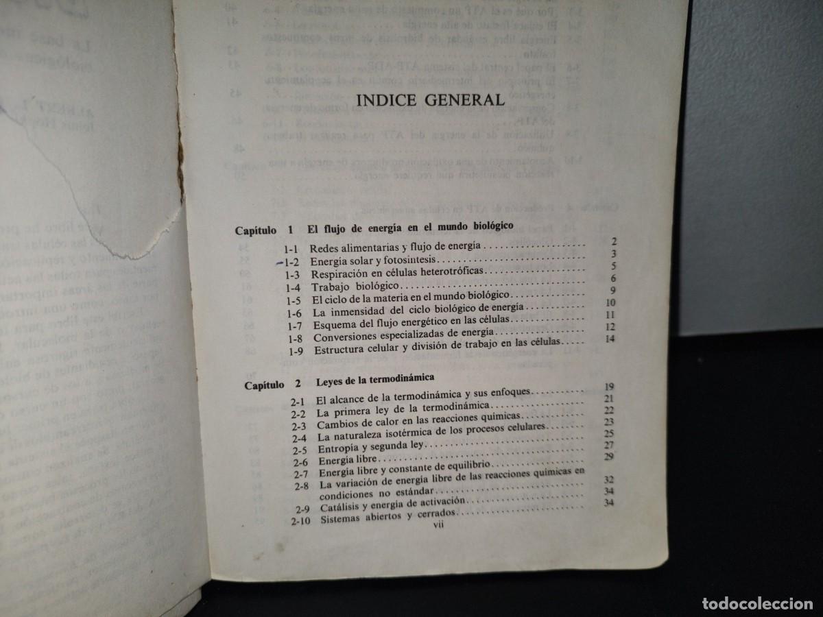 Libros de segunda mano: 90- BIOENERG&Eacute;TICA - ALBERT L. LEHNINGER - Foto 7