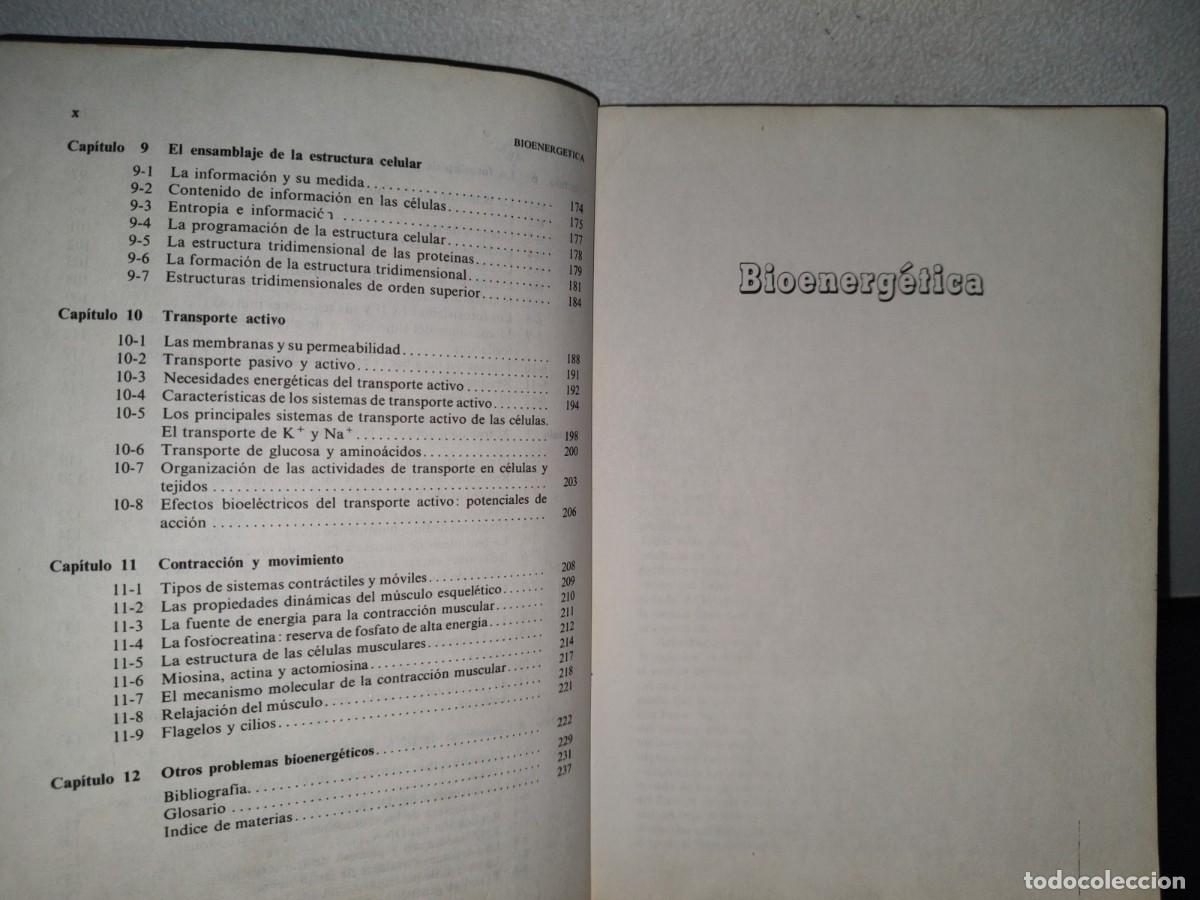 Libros de segunda mano: 90- BIOENERG&Eacute;TICA - ALBERT L. LEHNINGER - Foto 9