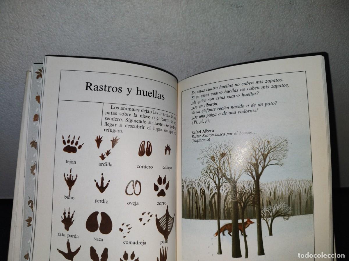 Libros de segunda mano: 90- EL LIBRO DEL INVIERNO - LAURENCE OTTENHEIMER - ALTEA - 1988 - Foto 8